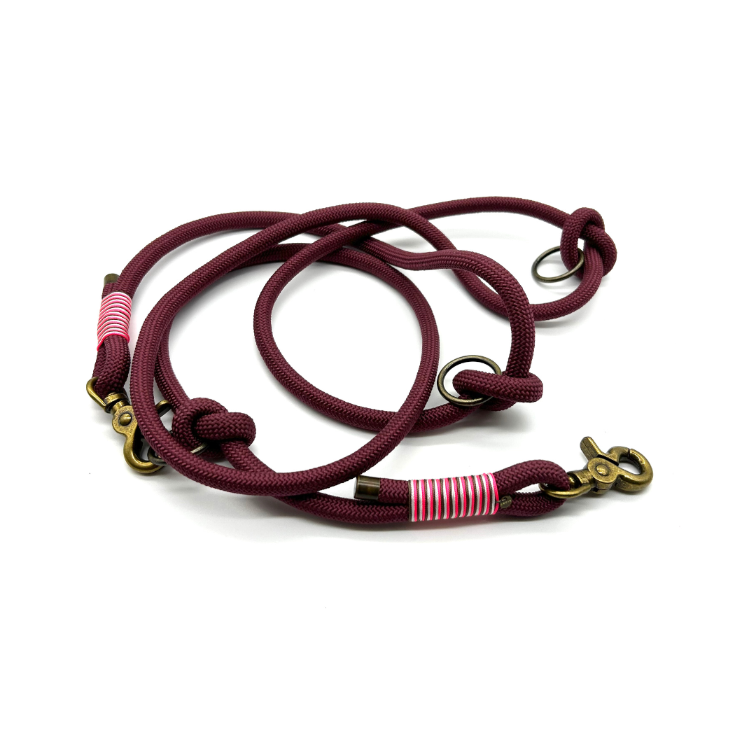 Tauleine 'Lucky Leash' in Bordeaux