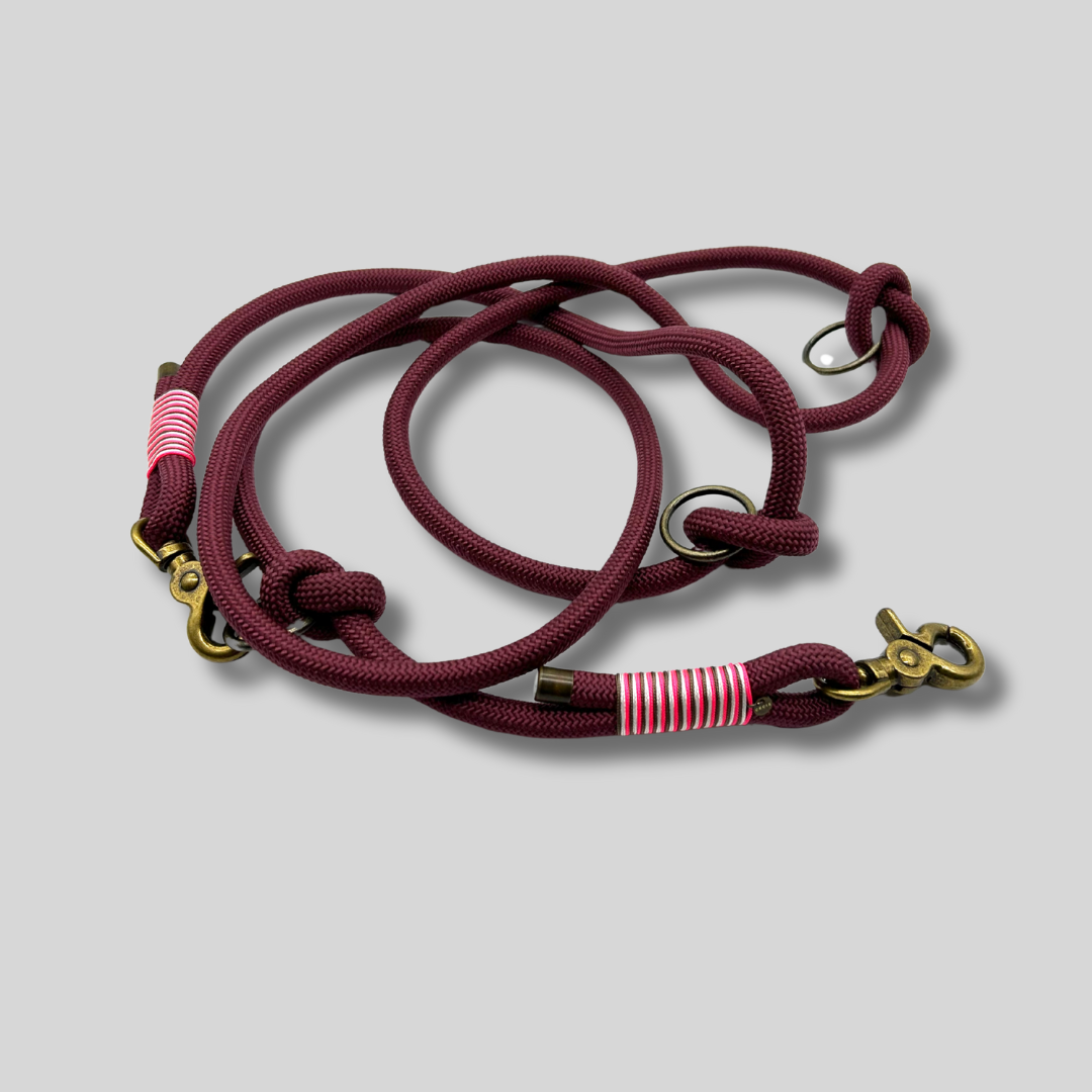 Tauleine 'Lucky Leash' in Bordeaux