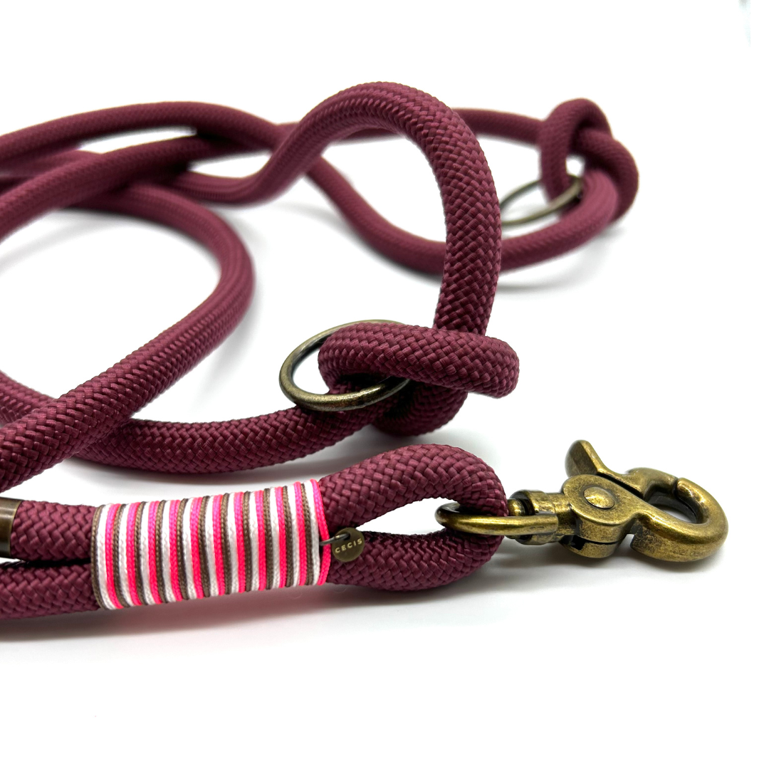 Tauleine 'Lucky Leash' in Bordeaux