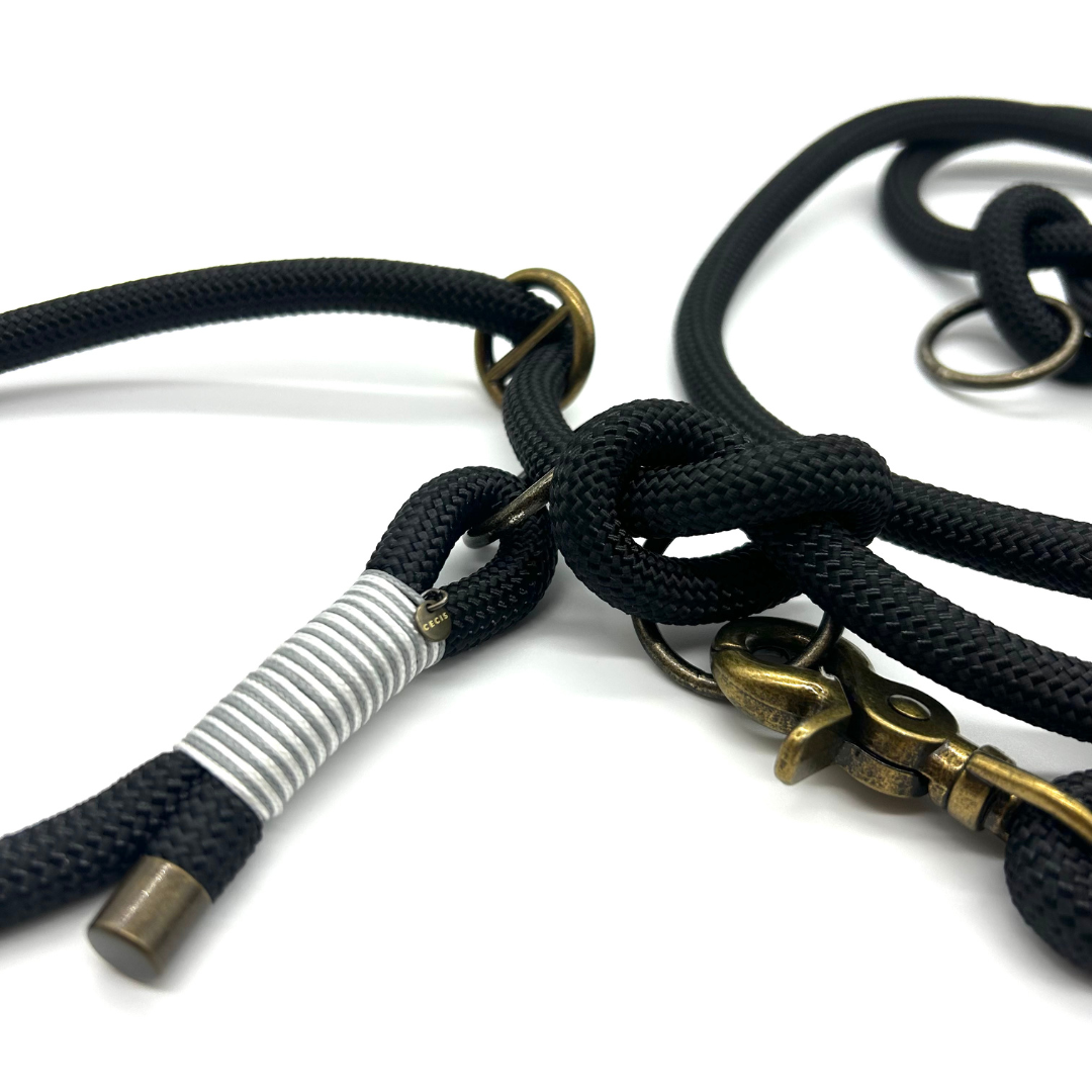 Retrieverleine 'Lucky Leash' in Schwarz