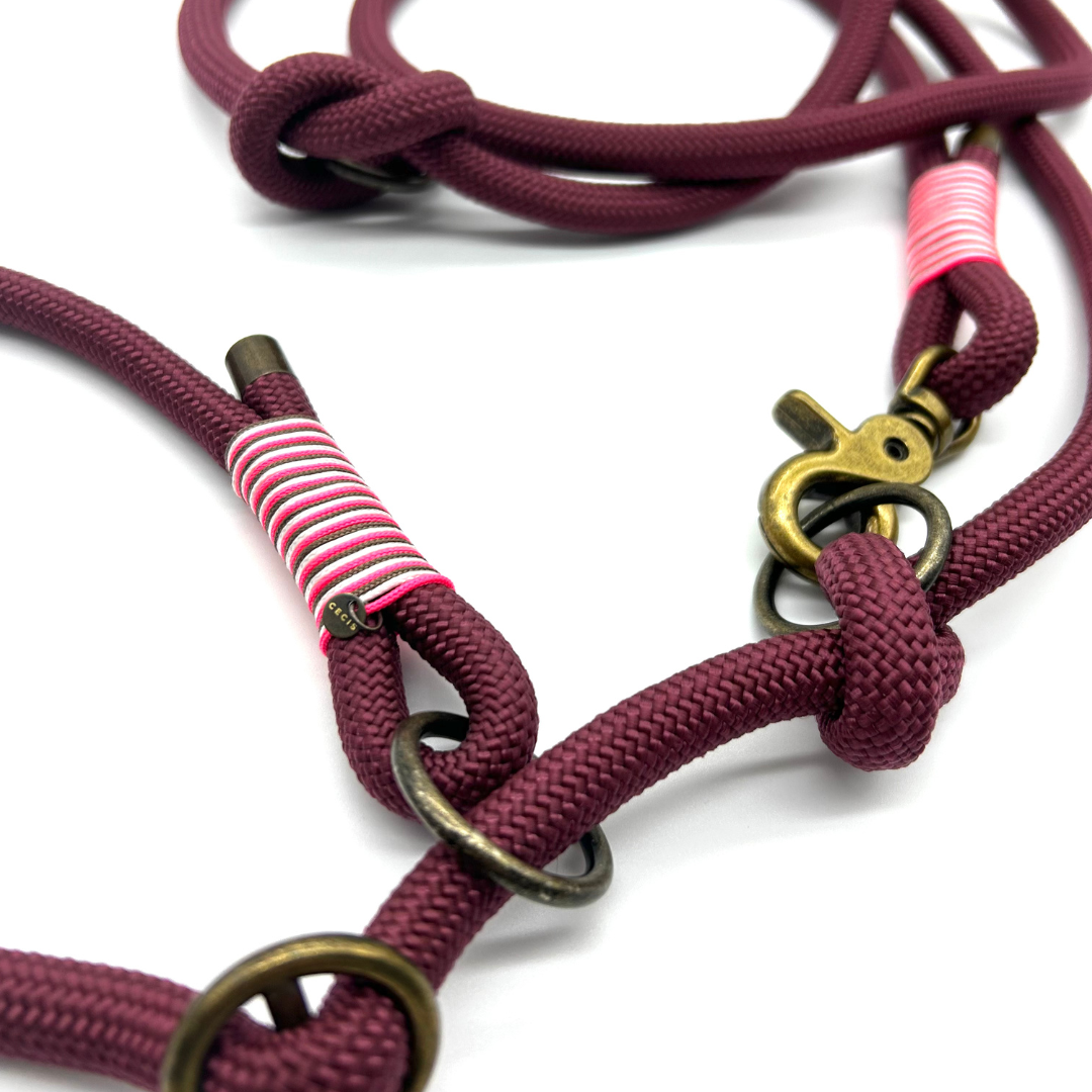 Retrieverleine 'Lucky Leash' in Bordeaux