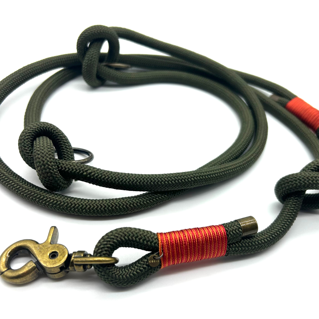 Tauleine 'Lucky Leash' in Olive