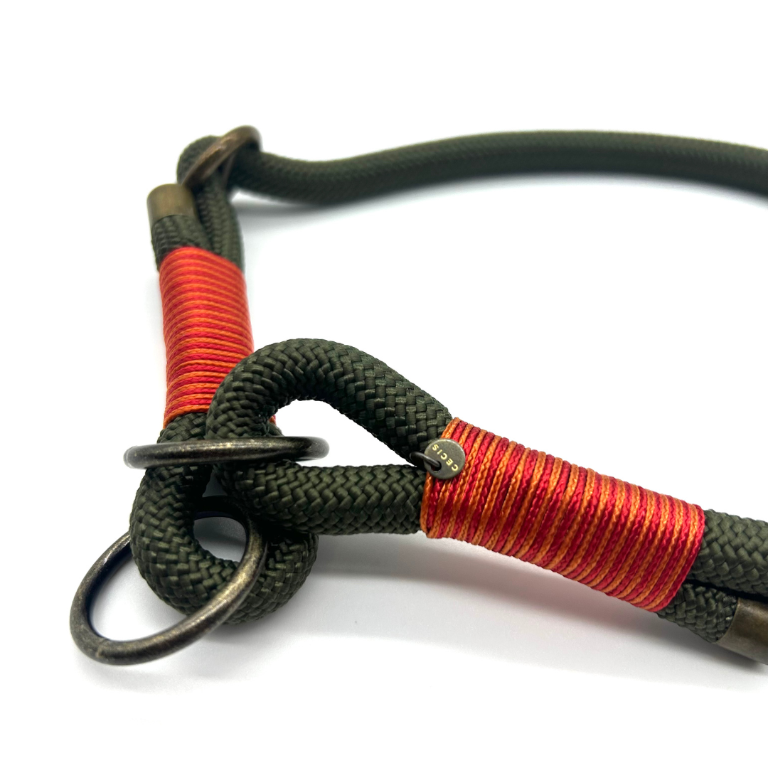 Zughalsband 'Lucky Leash' in Olive